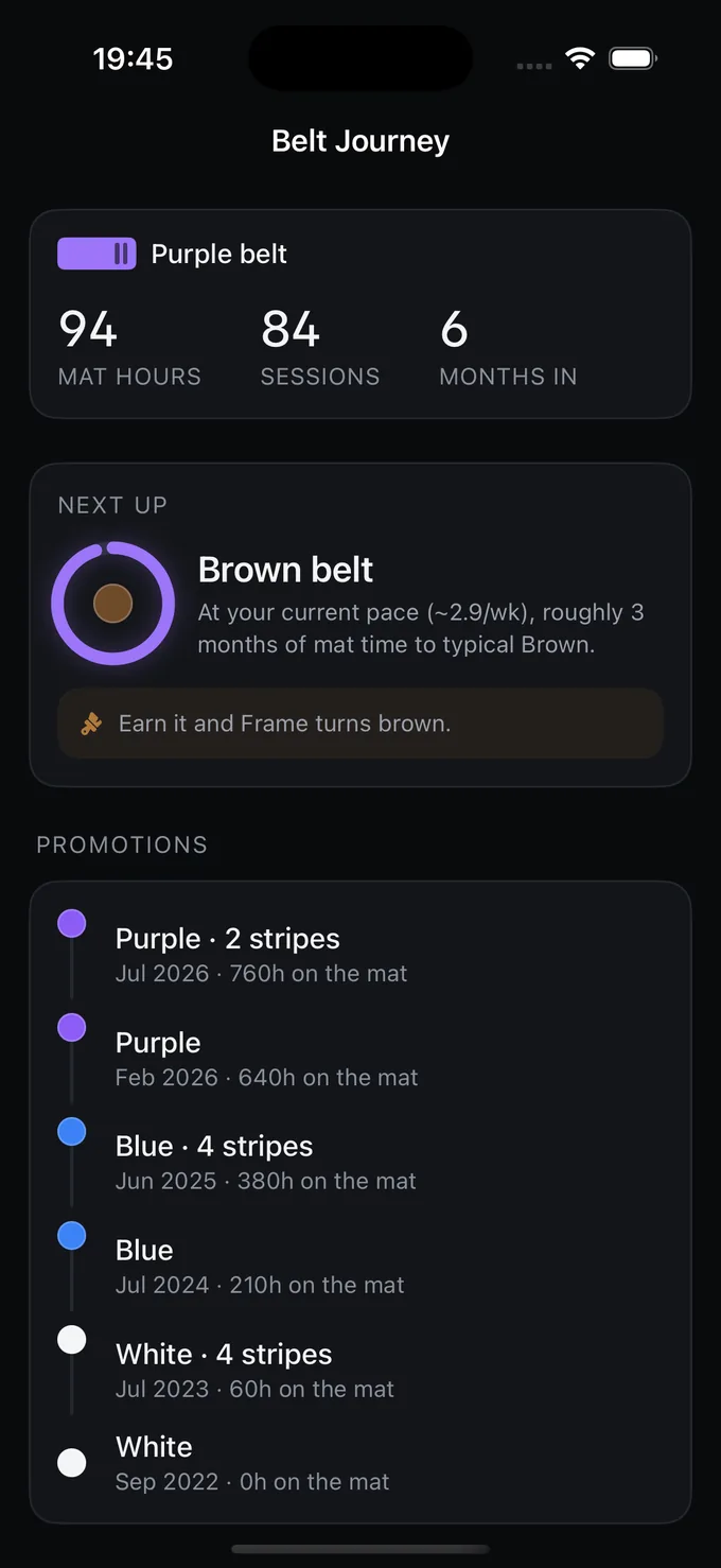 Frame — every promotion with the mat hours behind it, and what the next belt costs at the current pace